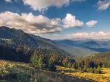 Excursie Castelul Vrajitoarelor – Satul Rasturnat – Padurea Colorata – Pestera Muierilor | 1 zi - autocar | 2026