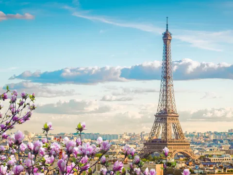 Paste Paris - La Vie en Rose | 5 zile - Avion | 2027