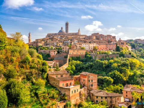 Senior Holidays Toscana | 8 zile - Avion | Plecare Cluj-Napoca 2027