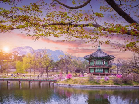 Circuit Coreea de Sud - Japonia: Sarbatoarea florilor de cires | 14 zile - Avion | 2027