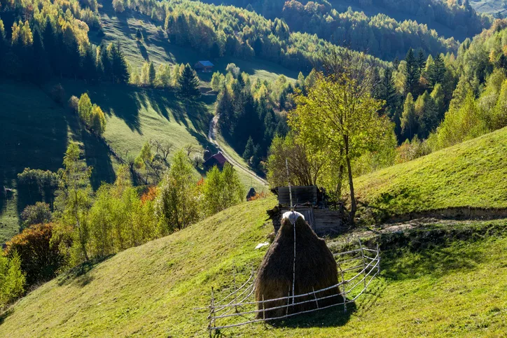 Excursie Gradina de Lavanda - Salina Slanic | 1 zi autocar | 2026